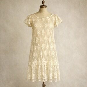 Vtg Antique 1920s Small Lace Slip Dress Sheer Ivory Flapper Drop Waist Edwardian